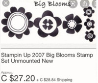 Stampin Up Big Blooms Stamp Set 