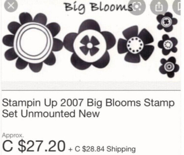 Stampin Up Big Blooms Stamp Set  in Hobbies & Crafts in London