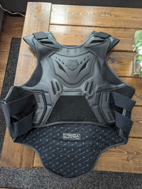 Icon field armor striker vest