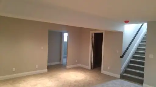 Professional Painter for Hire62863725998211122
