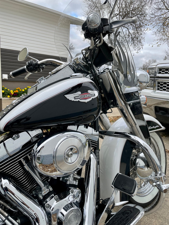 2005 Harley Davidson Heritage Softail Deluxe in Street, Cruisers & Choppers in Winnipeg - Image 3