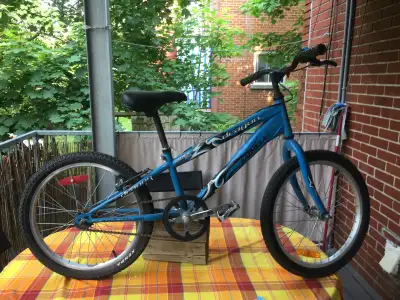 Vélo enfant Minelli Dragon – roues 20”, View more