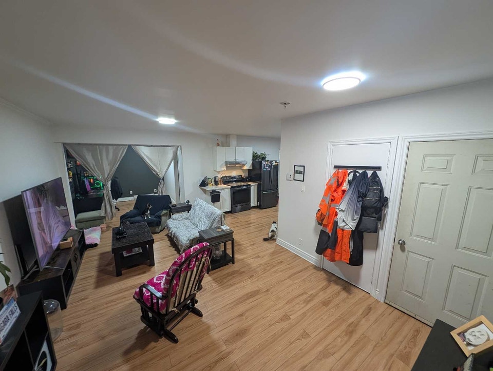 large 3.5. PETS ACCEPTED 2