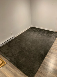 floor rug 200x300