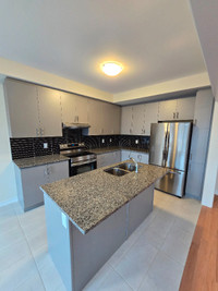 4 Bedroom Brand New End Unit Town House for Rent In Brantford.