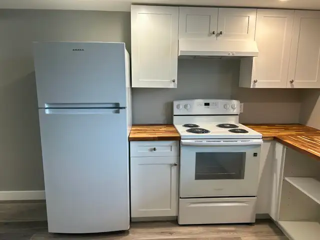Newly Renovated, 1 Bedroom, Available Now in Long Term Rentals in Belleville - Image 4