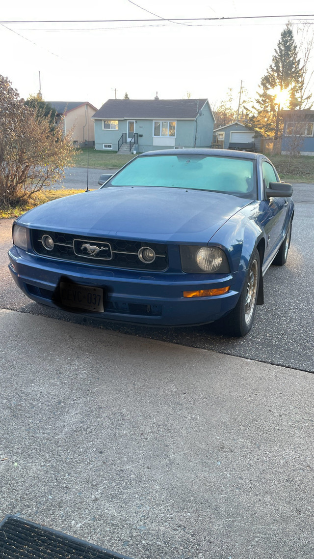 2008 Ford Mustang  in Cars & Trucks in Winnipeg - Image 2