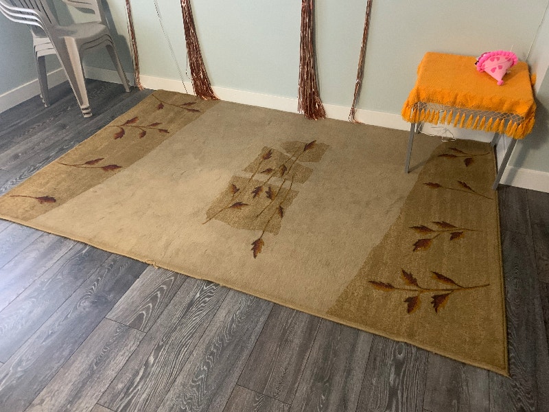 Living room carpet Arts & Collectibles Winnipeg Kijiji