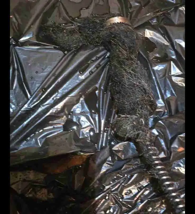 Best Price Plumbing & Drain Cleaning Services64733717079299121