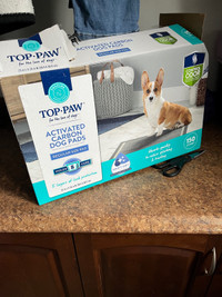 Dog training pads 