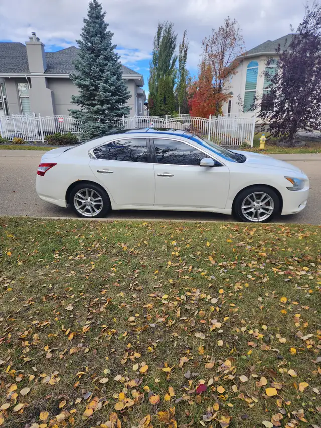 2011 Nissan Maxima SV Premium606387616320081922