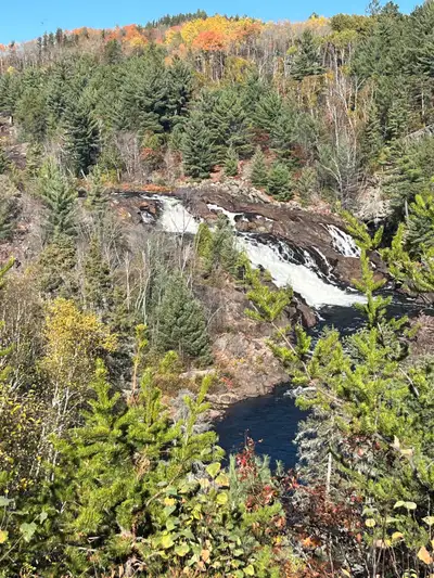 We are a family of 4 with 3 small, well behaved dogs looking for a rental or possibly rent to own ho...