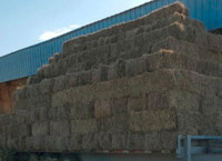 Small hay bales