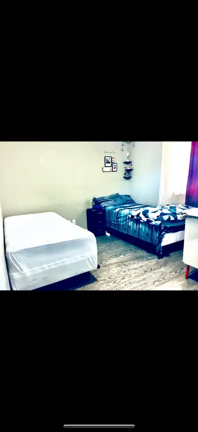 Shared room for rent each $450 Walking distance to CONESTOGA college and Laurier university Bus stop...