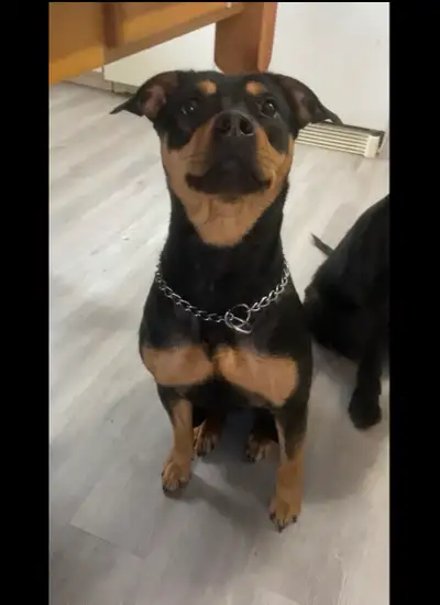 free female , View more