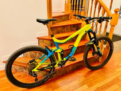 Giant Reign 2 mountain bike, View more
