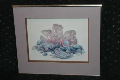 Stunning Framed Ocean Shell Corral Reef 3 Dimensional Artwork Awesome piece of art. Pictures do not...