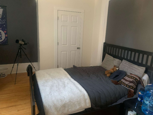Room for rent in Room Rentals & Roommates in Peterborough - Image 2