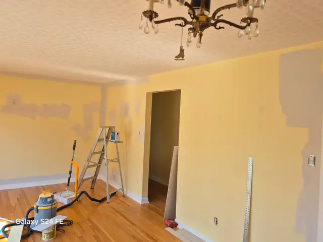 Professional Painter For Hire Ottawa Area542978699167027206