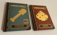 Livres Minecraft (lot de 2)