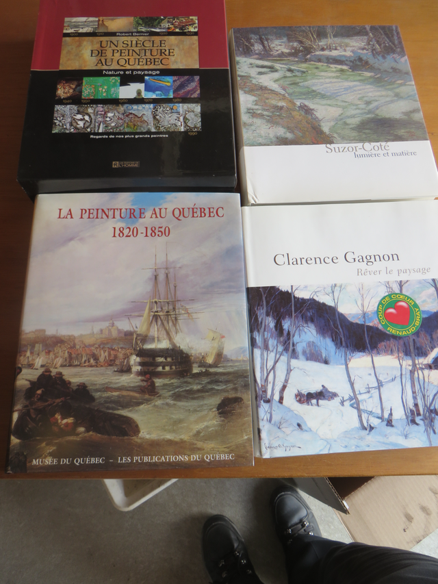 Livres d'art (plus de  450 (français et anglais) in Textbooks in Longueuil / South Shore - Image 7