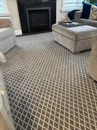 Carpet/Area Rug