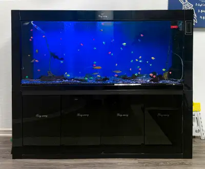 3 BEAUTIFUL 280 GALLON FISH TANK FOR SALE - $2000/each, View more