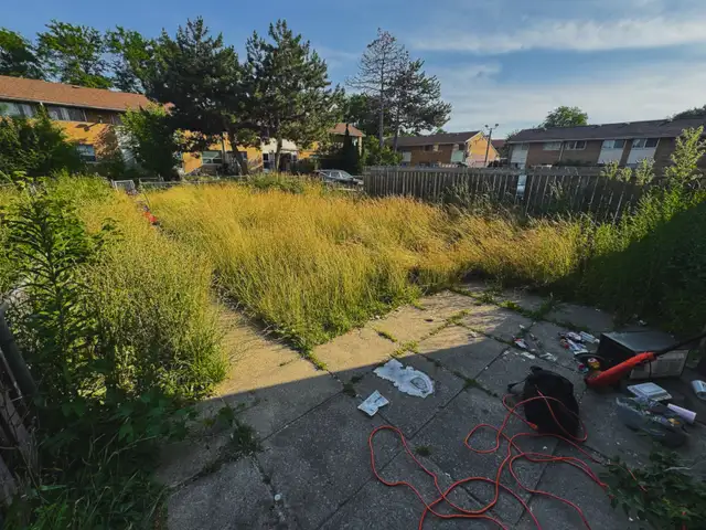 Small & Medium Backyard Cut & Cleanup63007358037891126