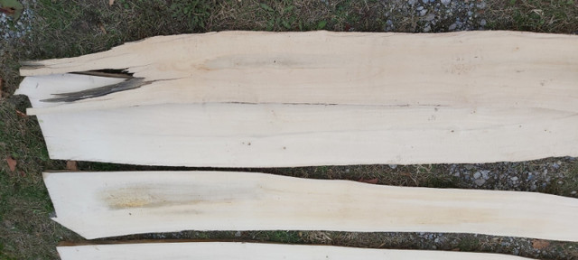 Rough Cut Maple lumber - 5 pieces in Other in Oshawa / Durham Region - Image 2