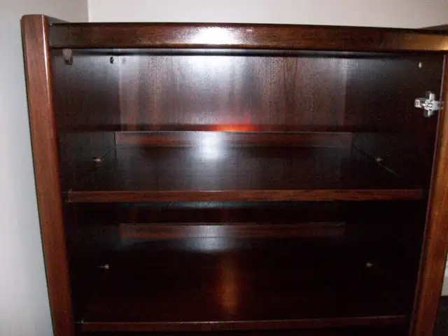 Beautiful Rosewood Wall/Entertainment Unit in TV Tables & Entertainment Units in Markham / York Region - Image 9