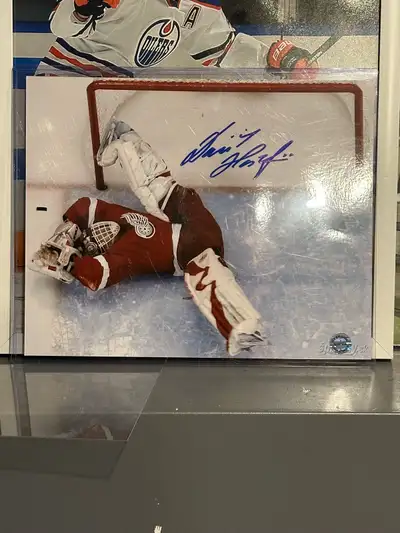 Dominik Hasek 8x10 Signed photo, View more