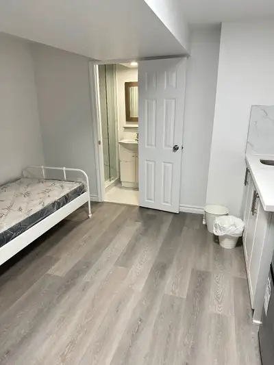 Spadina/college a studio in the basement for rent