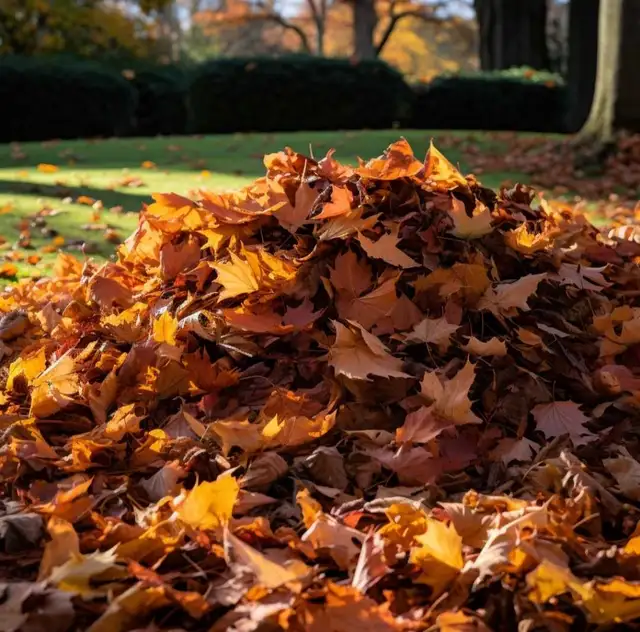 LANDSCAPING ✅ FALL CLEANUP ✅ LAWN CARE ✅ YARD CLEANUP ✅
