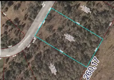 1 hour from Ottawa/Gatineau 1 Acre buildable vacant lot, mostly flat. City allows for building, or t...