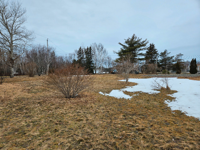 Land for sale in Land for Sale in Cape Breton - Image 2