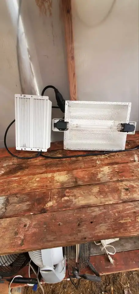 Shop Lights, Plant Lights in Indoor Lighting & Fans in Belleville - Image 2