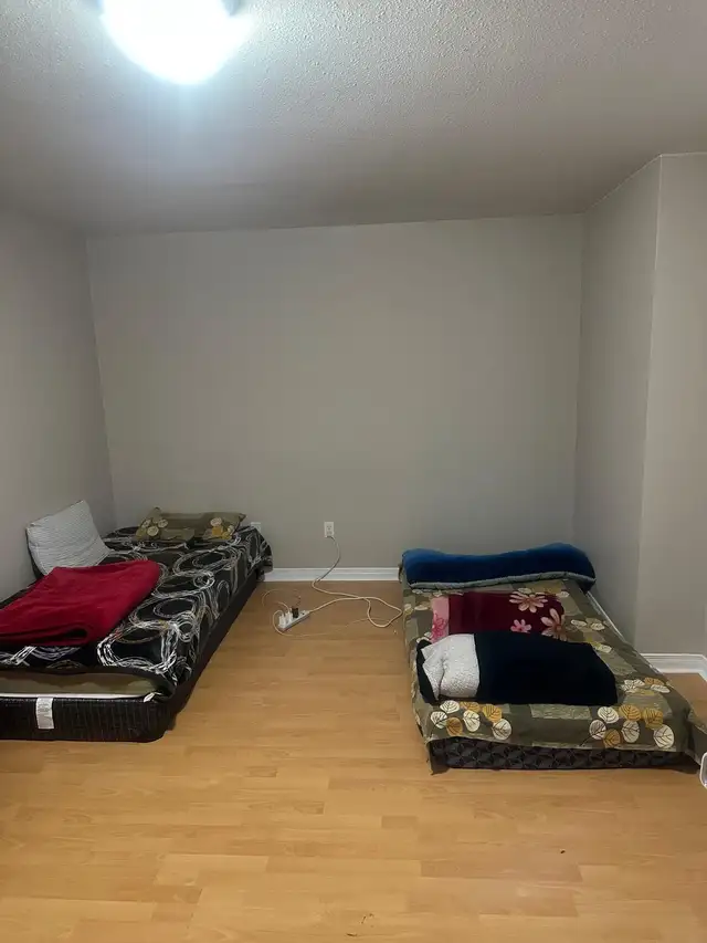 Room rental in Room Rentals & Roommates in Kitchener / Waterloo - Image 3