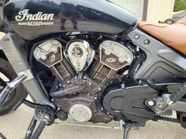2015 Indian Scout in Street, Cruisers & Choppers in Brantford - Image 4