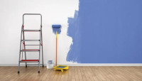 House Painting and Interior Design  in Snowdon Area