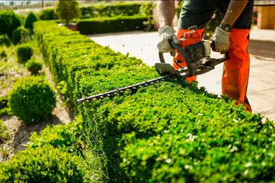 Grass Cutting Help – Yard Cleanup & Lawn Care, View more