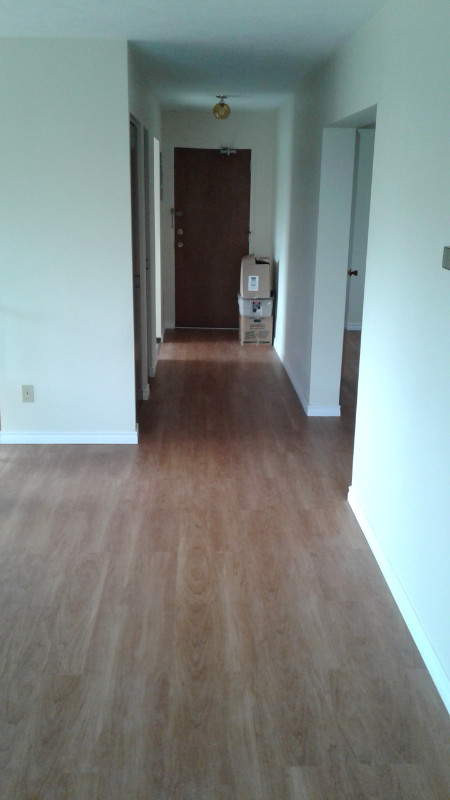 Extra Large Belmont Village Two Bedroom Apartment in Long Term Rentals in Kitchener / Waterloo - Image 3