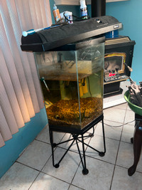 Hexagon 35 gallon aquarium