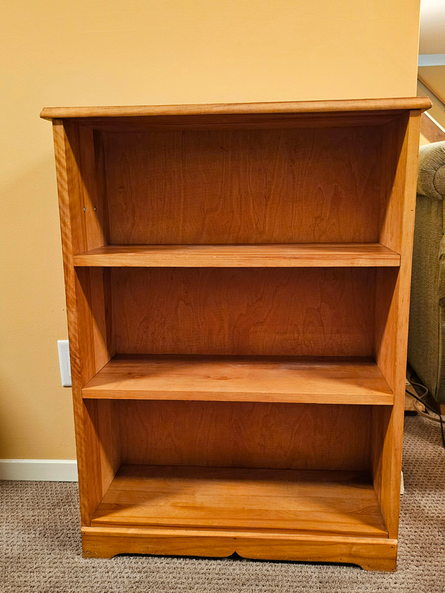Bookcase in Bookcases & Shelving Units in St. Catharines - Image 2