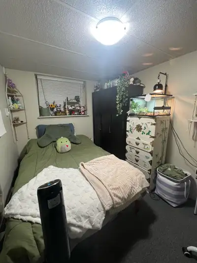 Private Room for rent