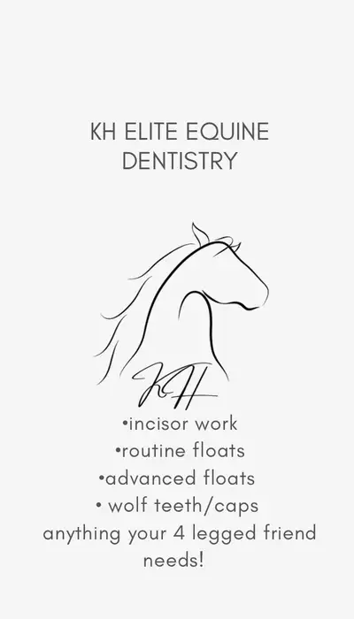 equine dentist, View more