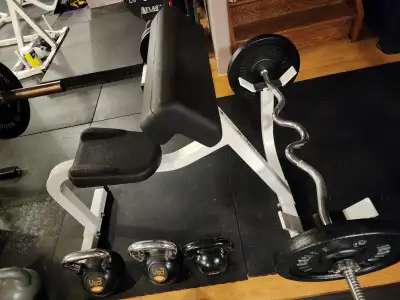 Preacher Curl Bench*by Northern Lights, View more