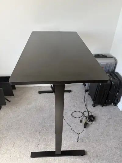 FlexiSpot E2 Electric Standing Desk - 55" x 27.5" - Height Adjus, View more