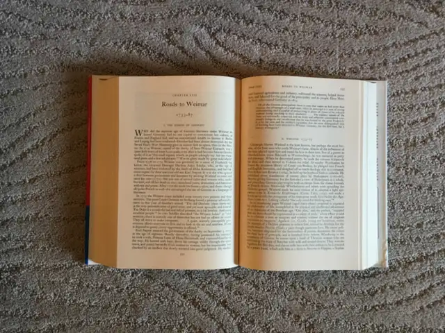 Mixed Volumes of The Story of Civilization Series in Non-fiction in Saskatoon - Image 8