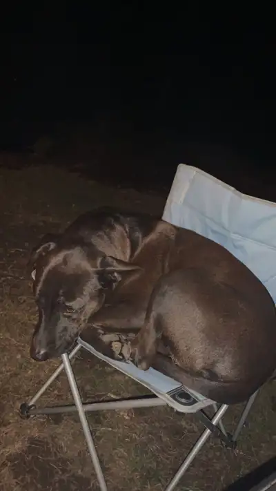 pictures of the unit