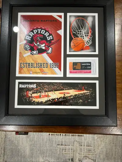 Fanatics Toronto Raptors Team-Used Basketball Collectible, View more